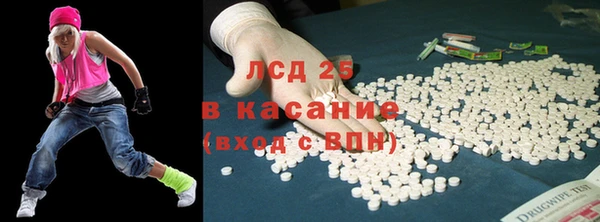 стаф Алексин