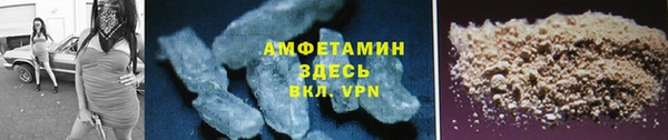 стаф Алексин