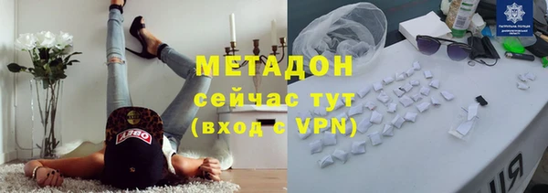 стаф Алексин