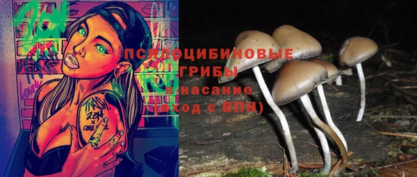 кокаин Белокуриха