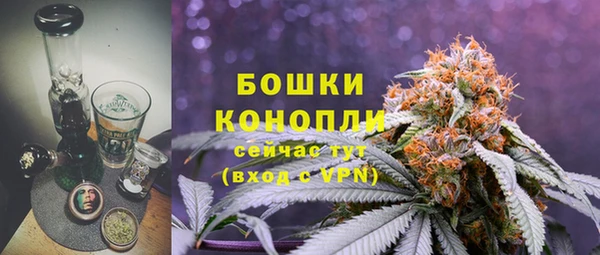 прущие крисы Белоозёрский