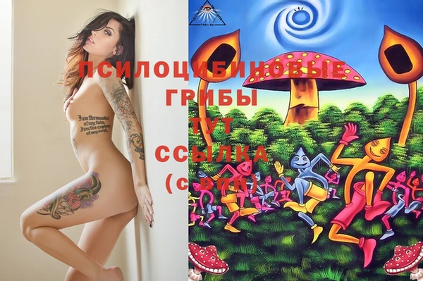 прущие крисы Белоозёрский