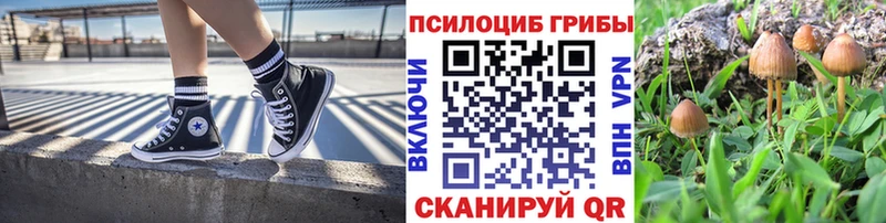сколько стоит  mega зеркало  Псилоцибиновые грибы прущие грибы  Ясногорск 